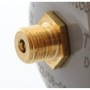 Disposable CO2 cylinder 1200gr SWAN