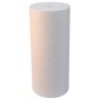 Big blue 20  sedimenti 10 micron