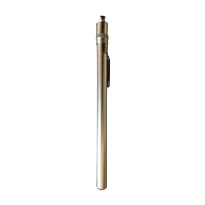 Thermometer with probe