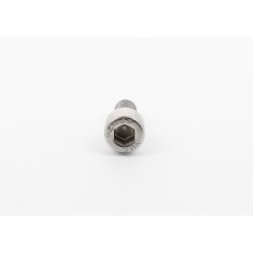 Central replacement Allen screw for totem